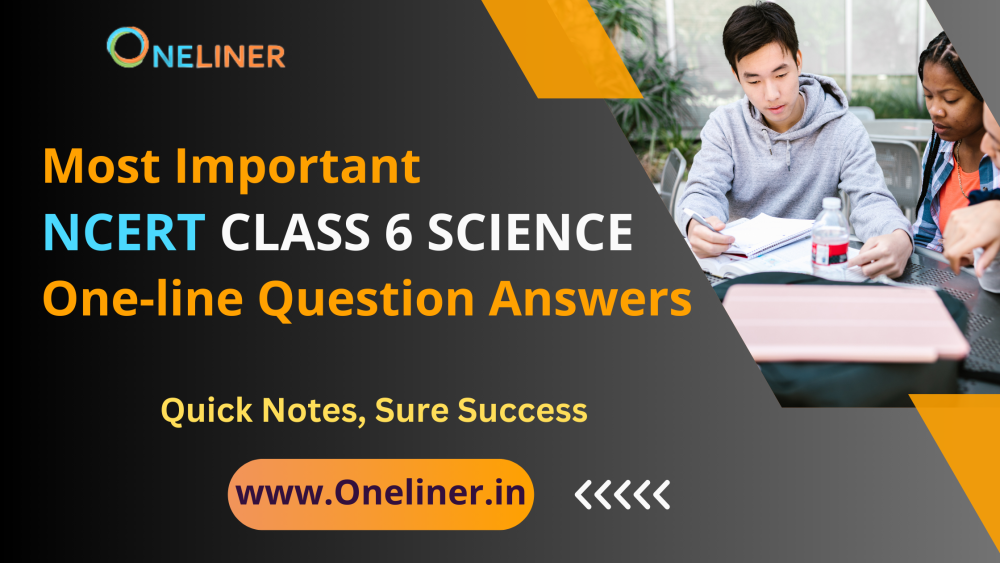 NCERT Solutions Class 6 Science - Class 6 Science Notes